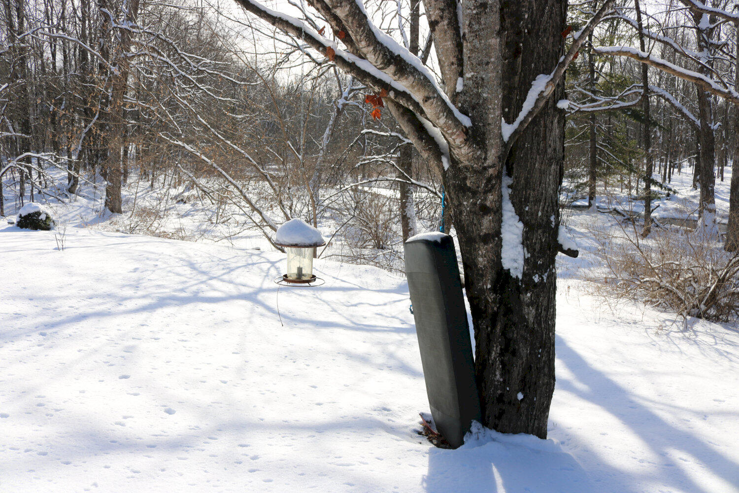 167 Lower Mills Road Madison, ME 04950 - Photo 52 of 56 IMG_3022_result