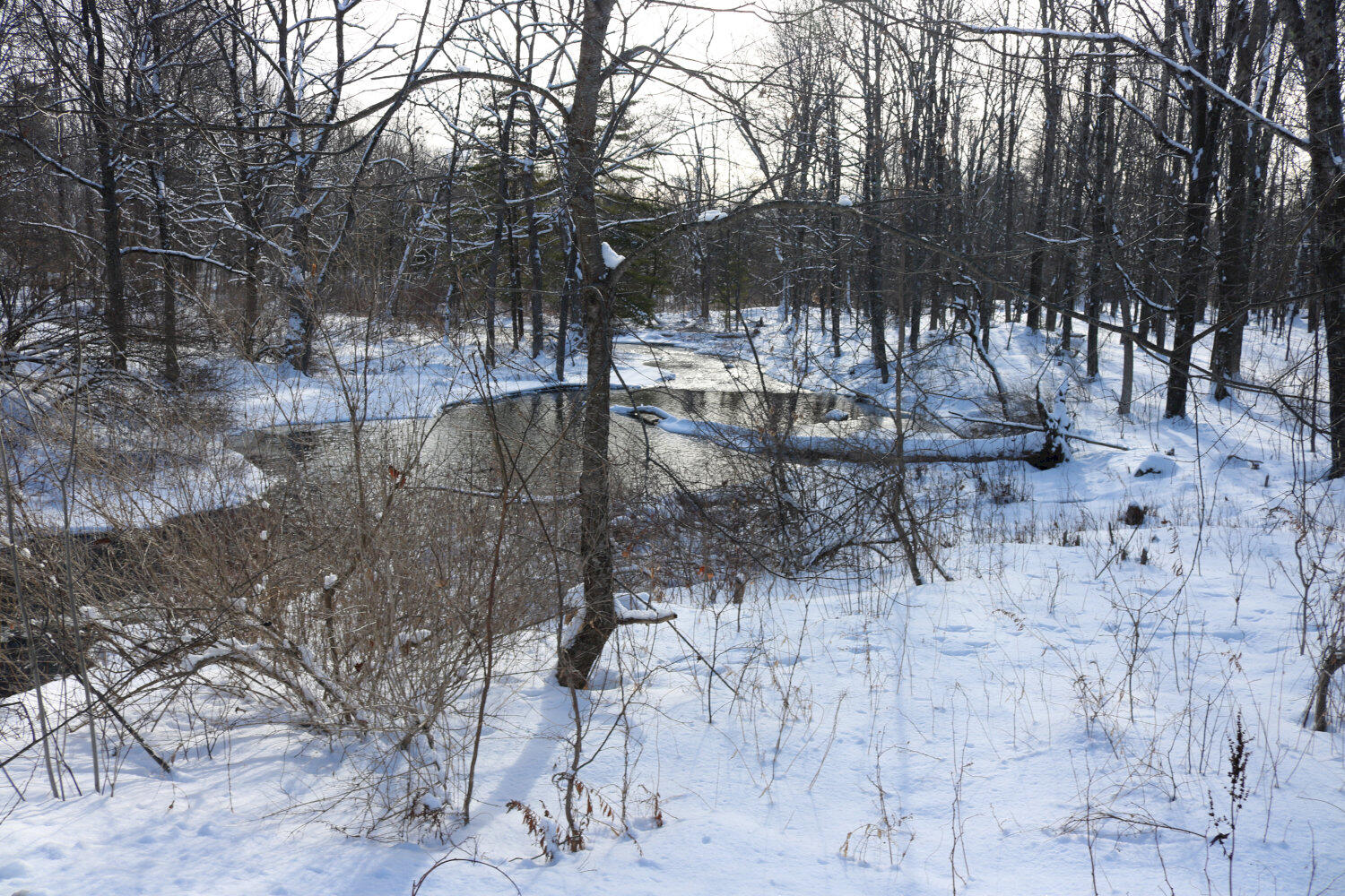 167 Lower Mills Road Madison, ME 04950 - Photo 56 of 56 IMG_3039_result