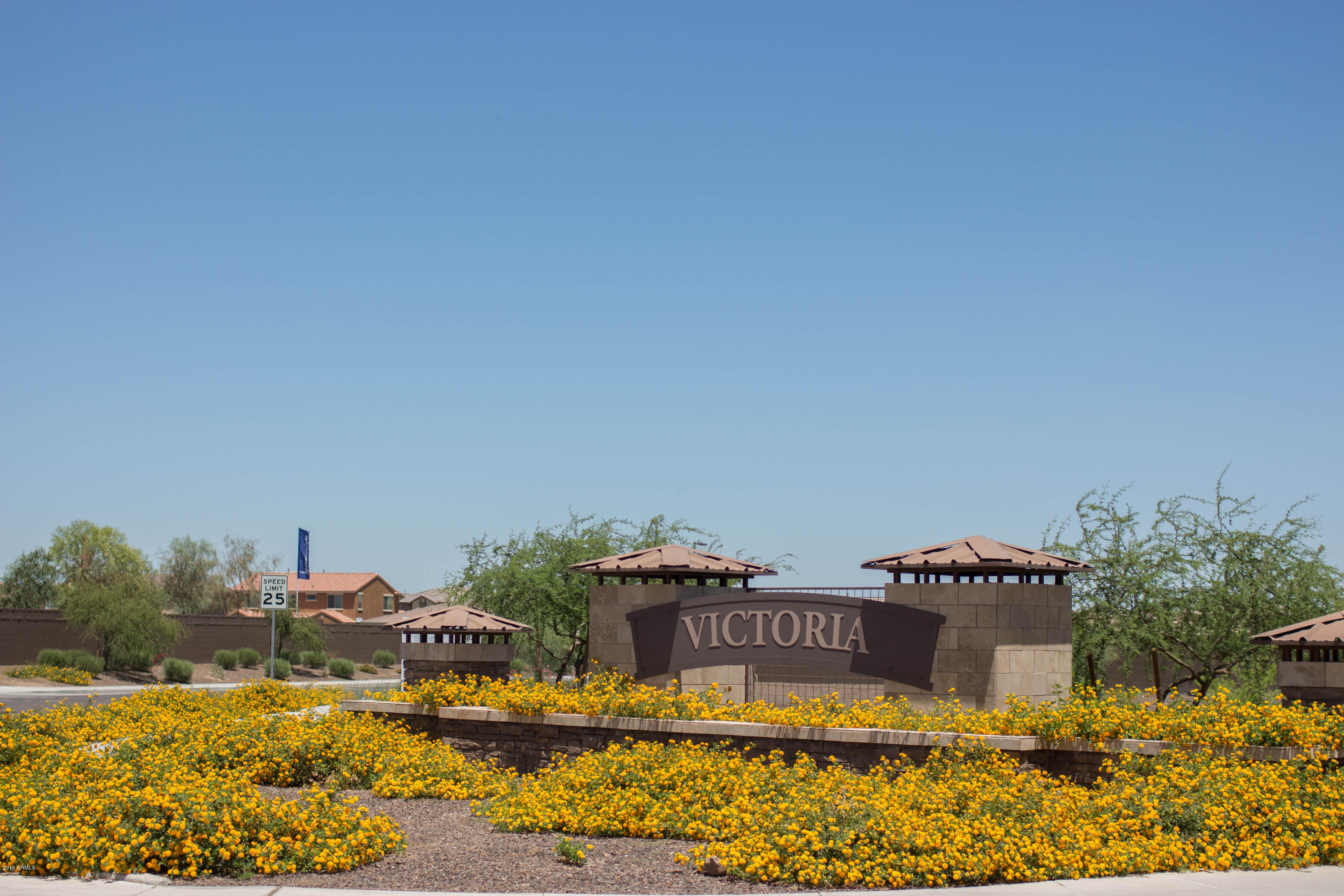 20117 East Quintero Road Queen Creek, AZ 85142 - Photo 77 of 82 Flowers in bloom at Victoria
