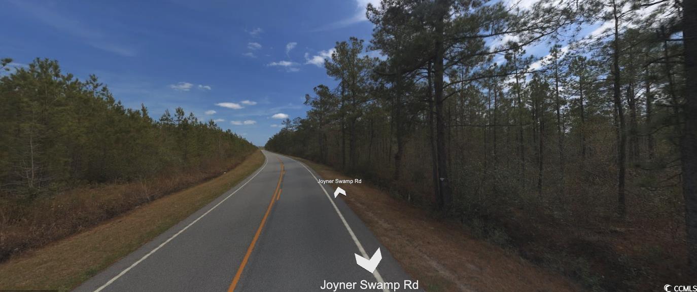Tbd Joyner Swamp Road Aynor, SC 29511 - Photo 3 of 5 View of street