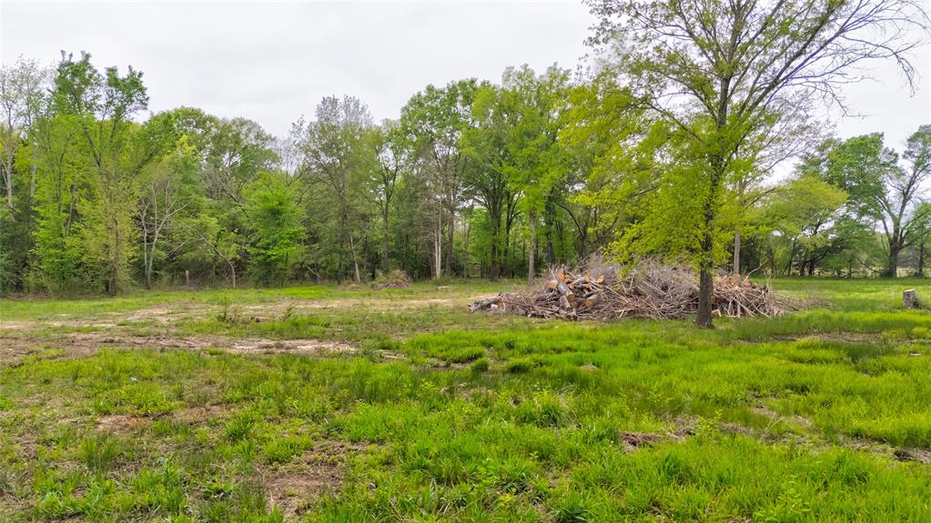 1411 Vz County Road 2139 Wills Point, TX 75169 - Photo 7 of 38