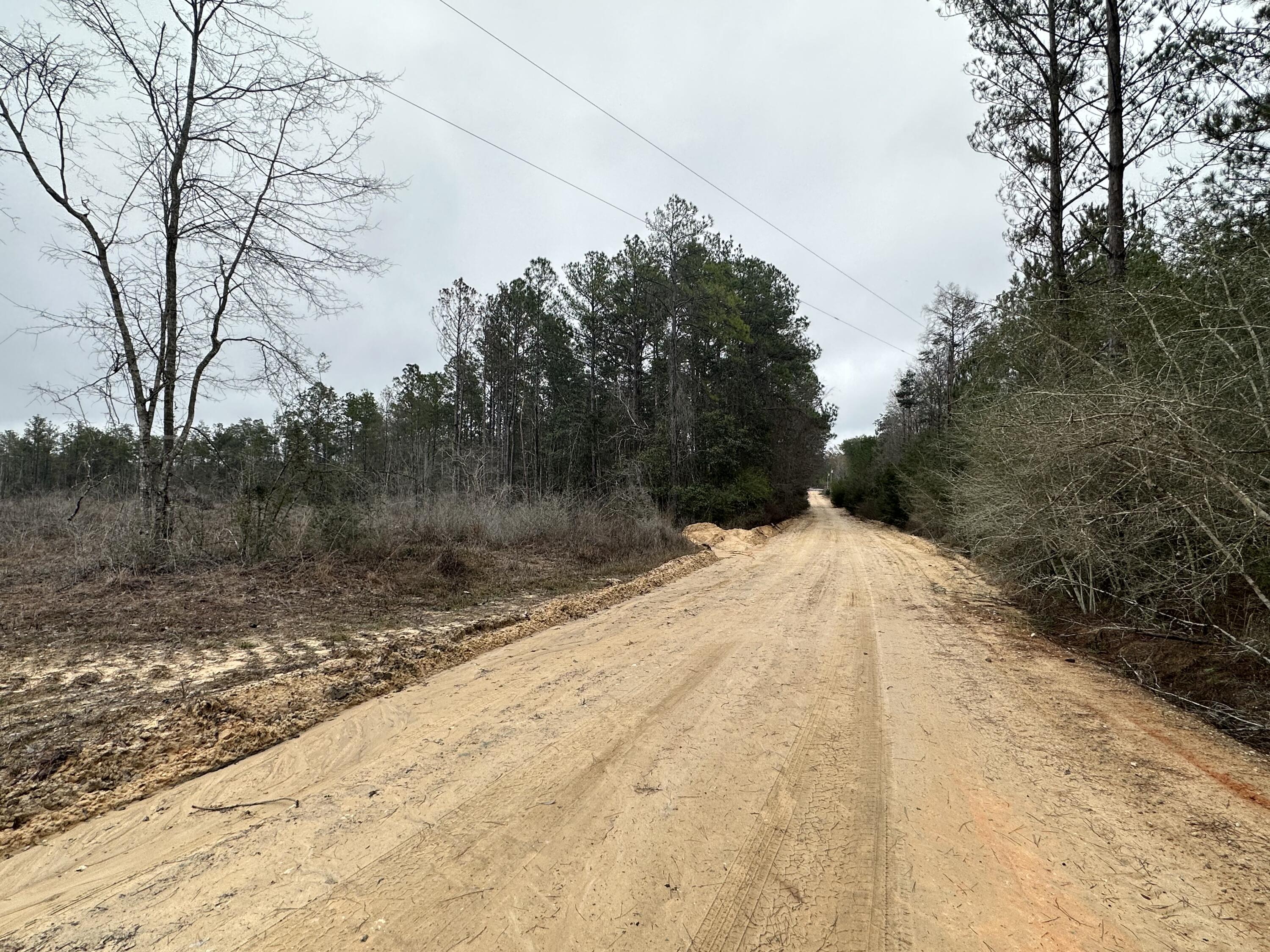 Tract#6410 Tract Road, Unit WEST 4 Bonifay, FL 32425 - Photo 5 of 7 IMG_6253