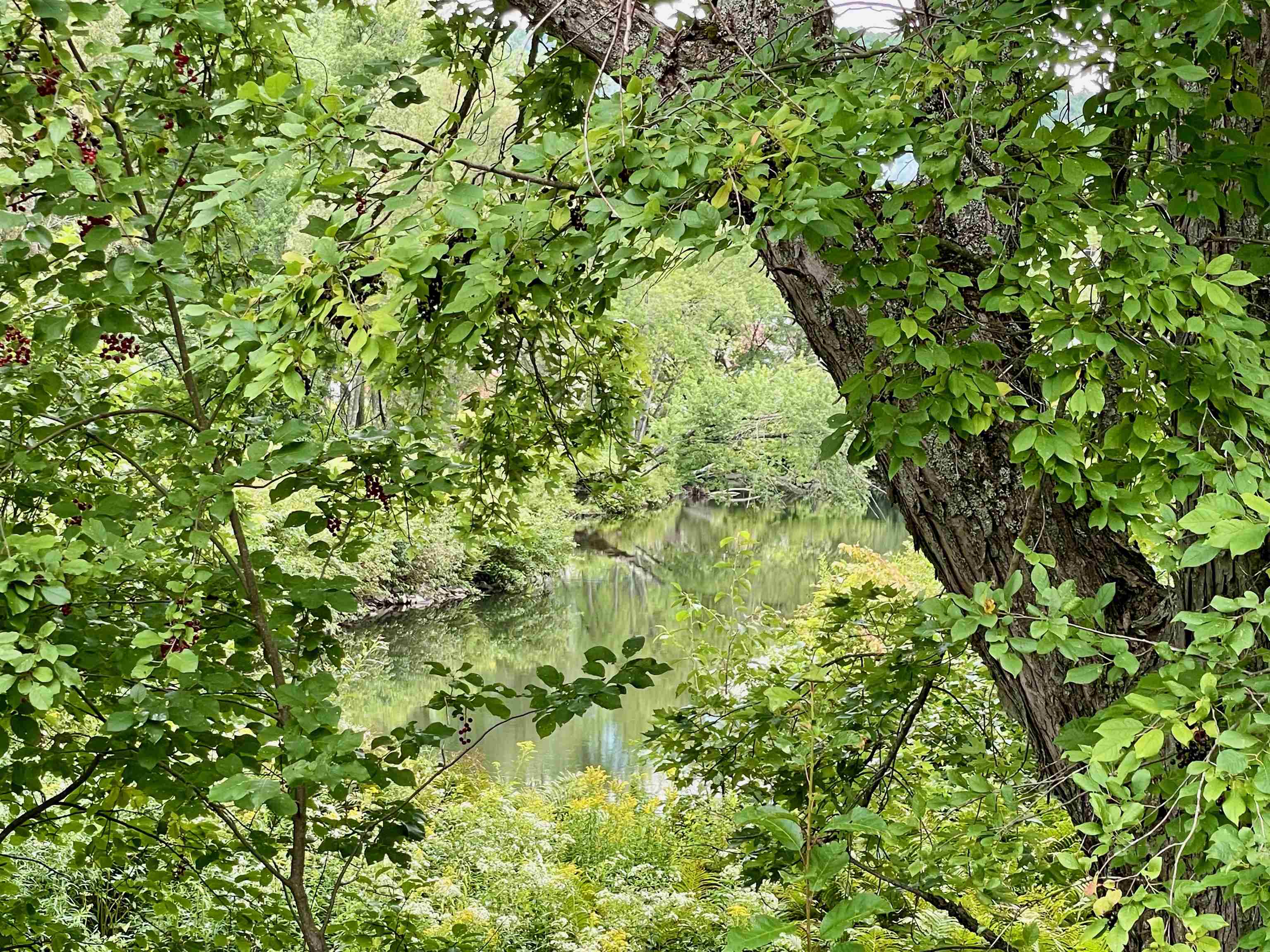 32 Halls Stream Road Canaan, VT 05902 - Photo 6 of 40