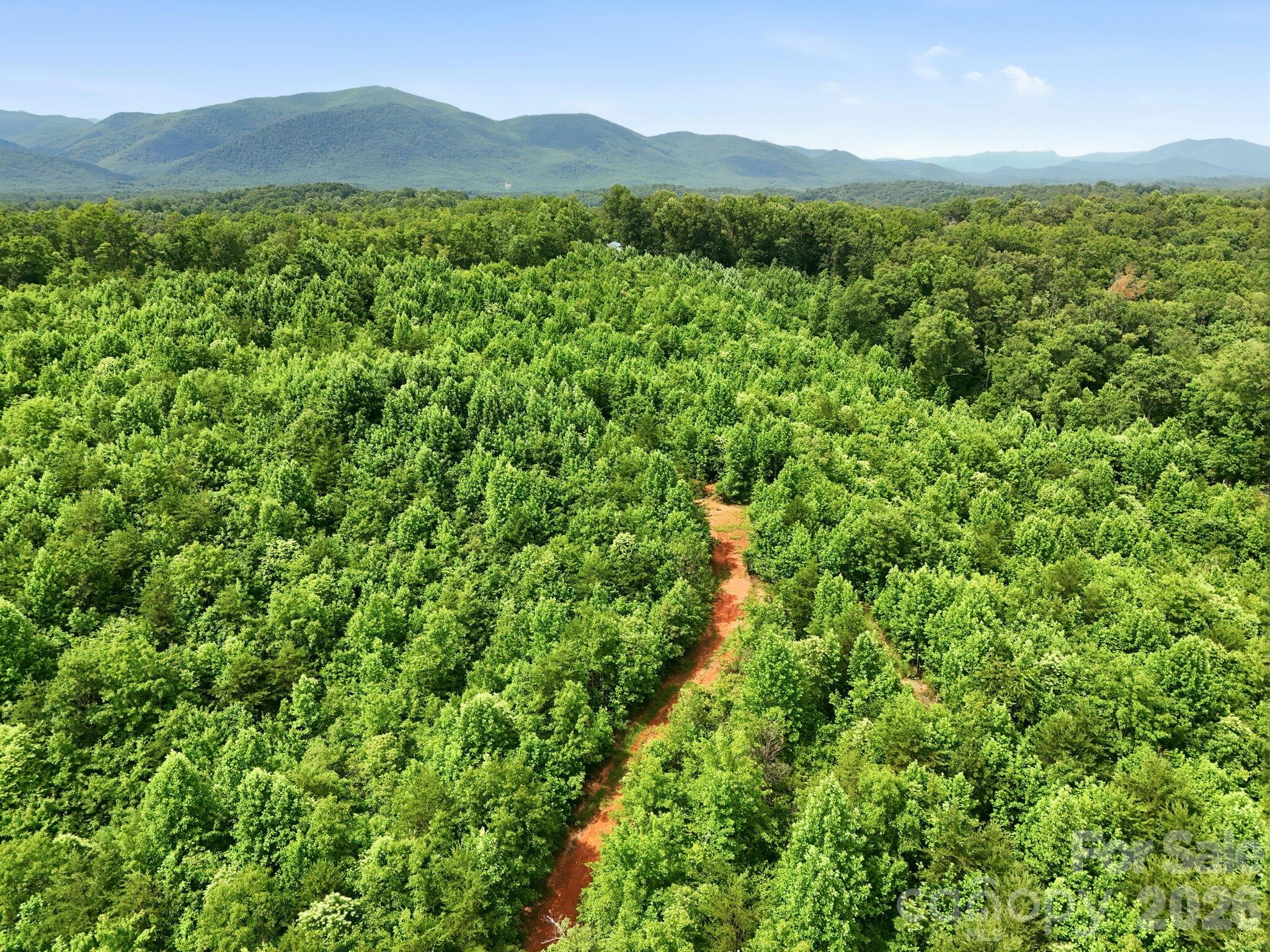 2301 Parker Padgett Road Old Fort, NC 28762 - Photo 11 of 17