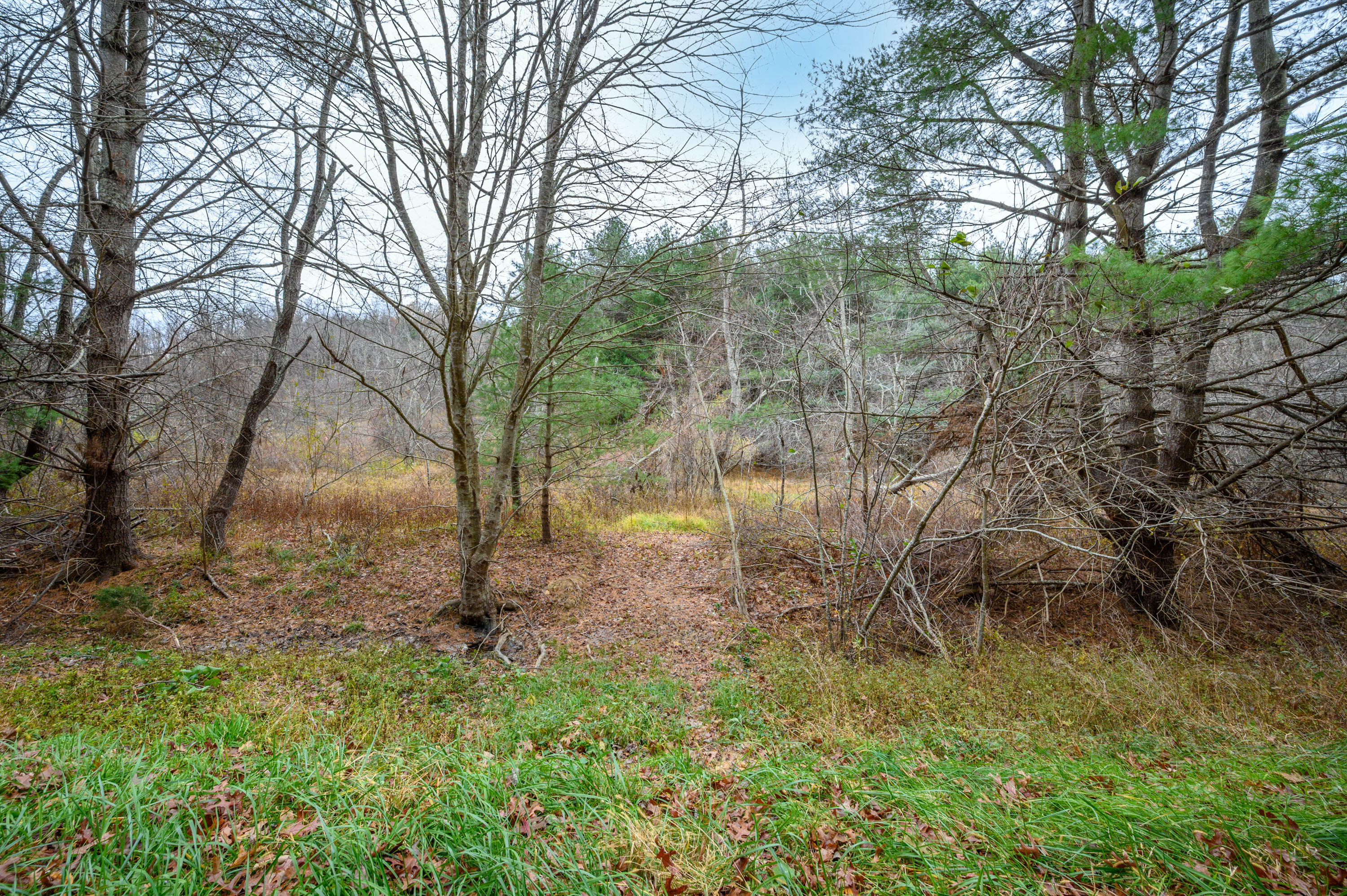 3150 Stonewall Road Northeast Check, VA 24072 - Photo 11 of 17 a backyard of a house with lots of green space