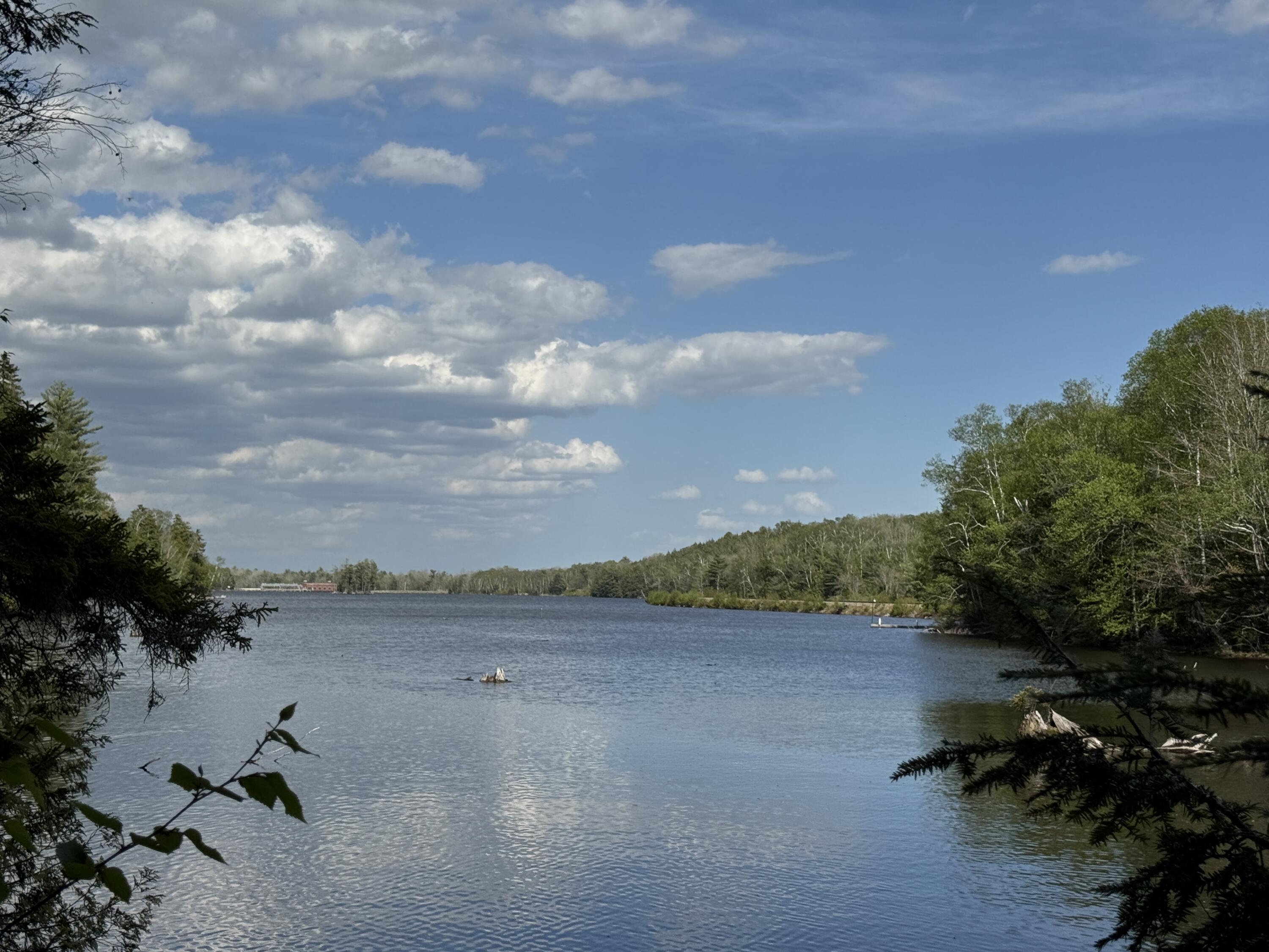 0 Elbow Lake Road Millinocket, ME 04462 - Photo 21 of 33 IMG_0410
