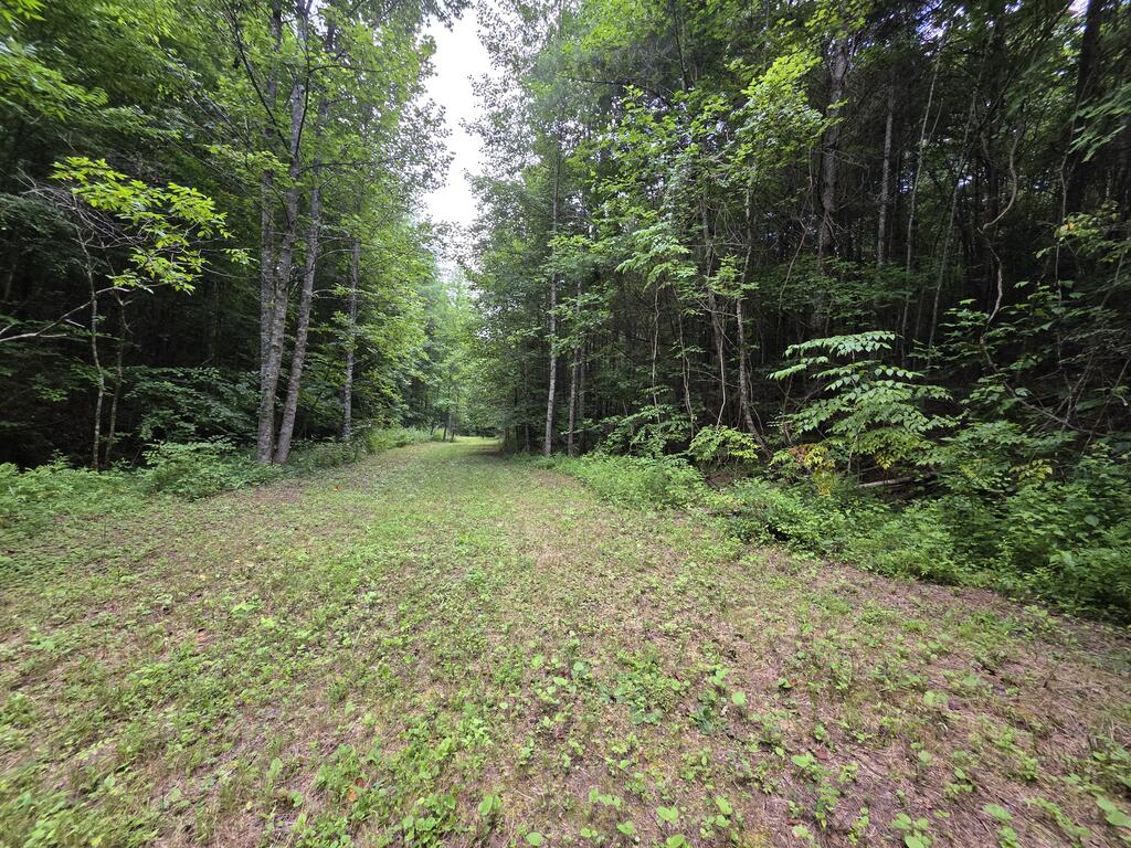 34.98 Hall Road Farner, TN 37333 - Photo 12 of 45 Gallery Image 12