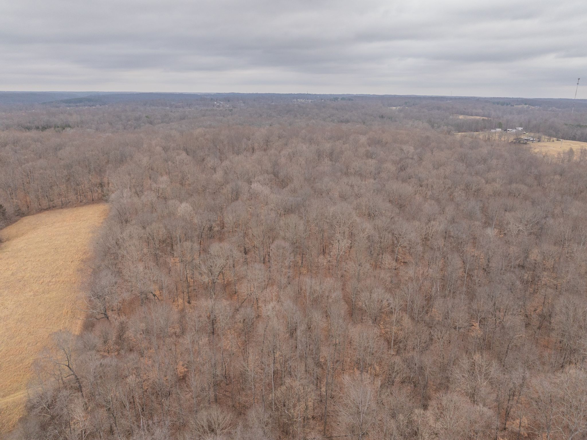 0 Wiley Branch Road Dickson, TN 37055 - Photo 11 of 27