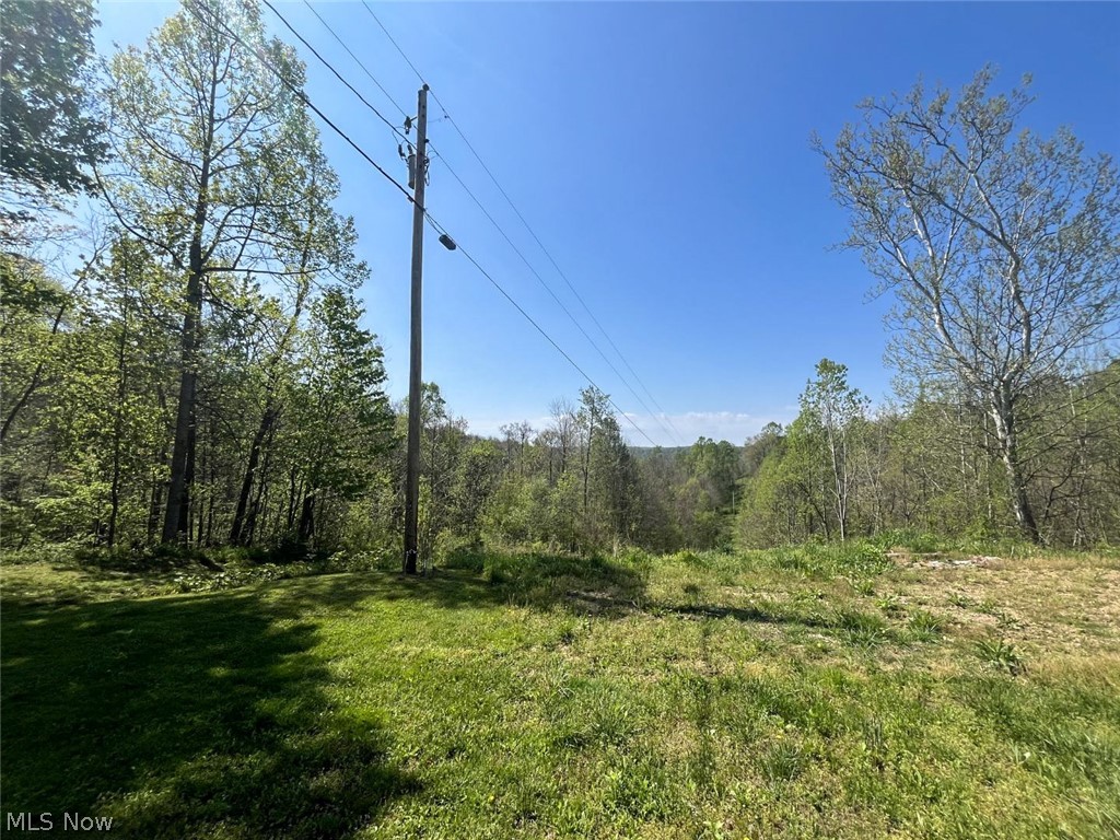 49250 Cowgill Road Summerfield, OH 43788 - Photo 23 of 44