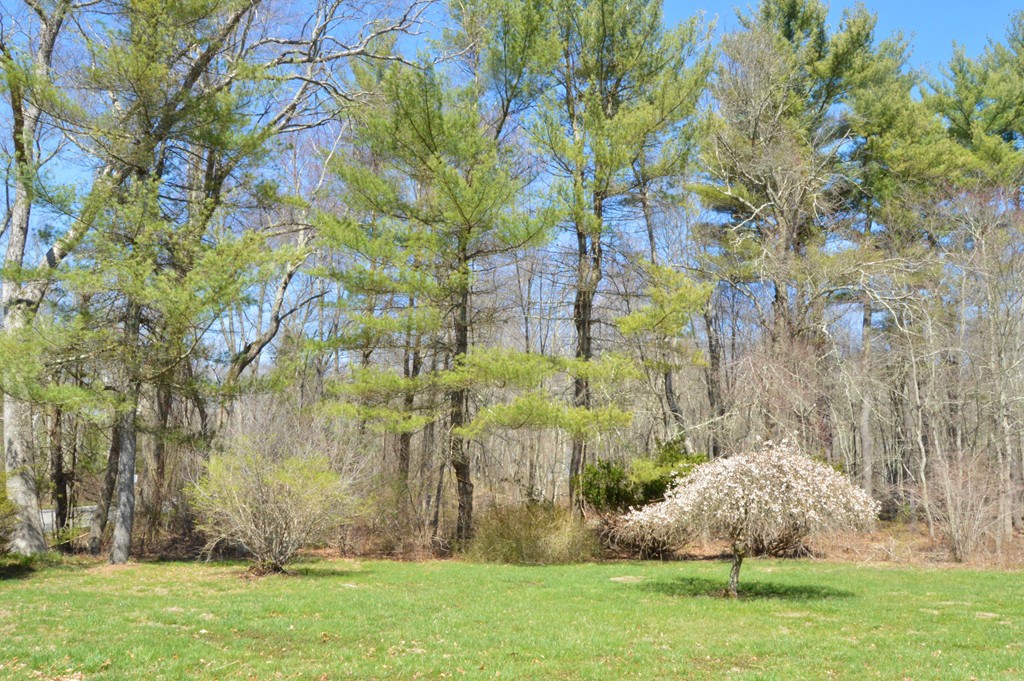 167 Bay Road Norton, MA 02766 - Photo 12 of 13 Gallery Image 12