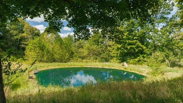 a view of a big yard with potted plants