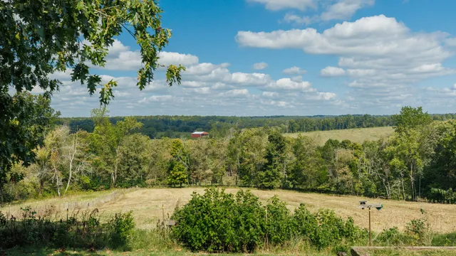 a view of a garden with a building