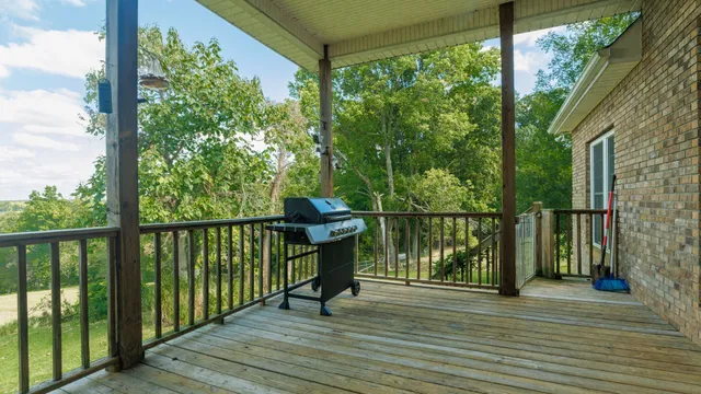 a view of a garden with a tree