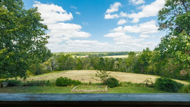 a view of a garden with trees