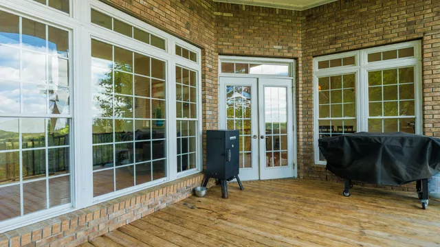a view of a tree in a park