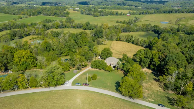 a view of a field with a tree
