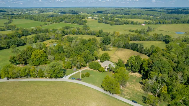 a view of a garden with a lake