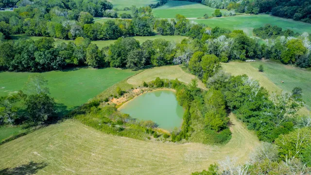 a terrace with trees in the background