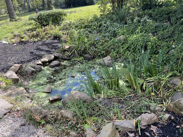 $749,900 | 5862 Buckner Loop, Cumberland Furnace, TN 37051