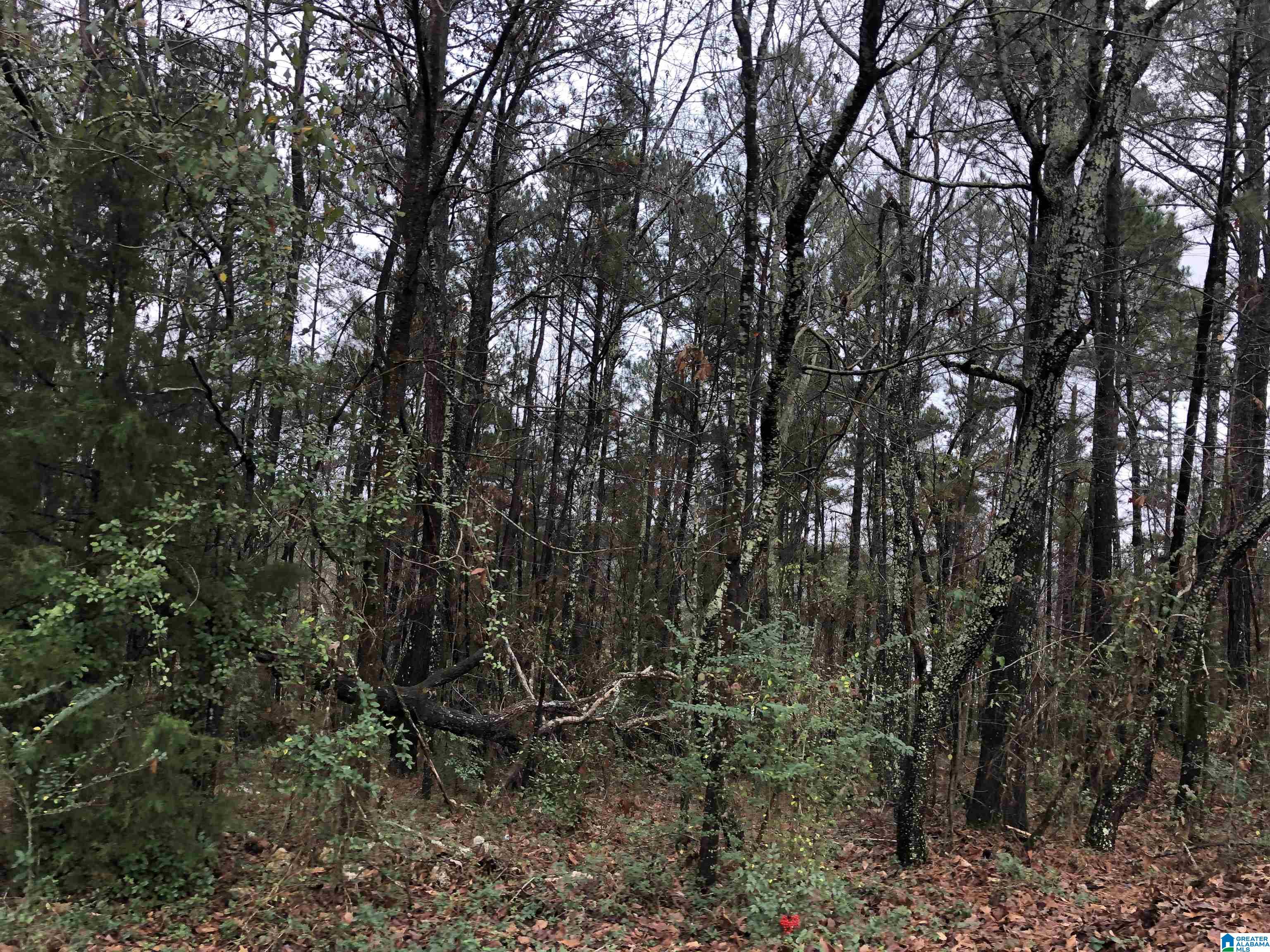 0 Autumn Ridge Trail, Unit 26 Pell City, AL 35128 - Photo 12 of 31