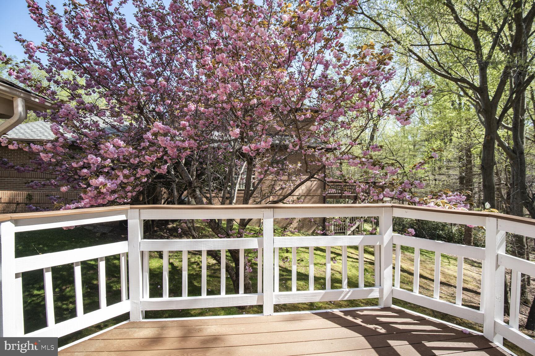 7816 Laurel Leaf Drive Potomac, MD 20854 - Photo 12 of 31 front view of a large building