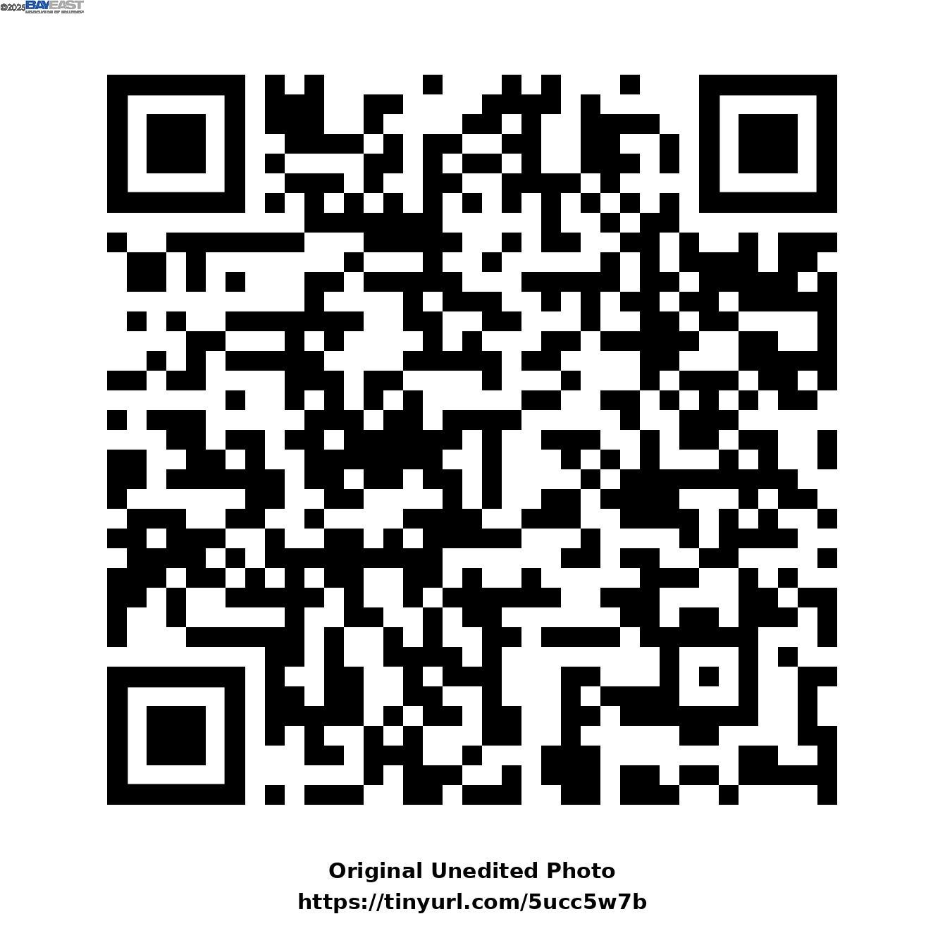 1523 Lincoln Avenue Alameda, CA 94501 - Photo 32 of 32 a black and white picture of a building