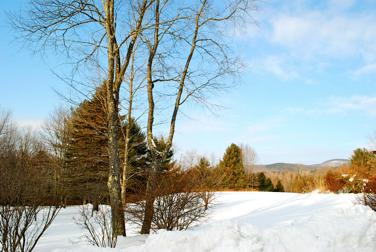 29 Corashire Road Monterey, MA 01245 - Photo 3 of 32 a view of a yard with a house