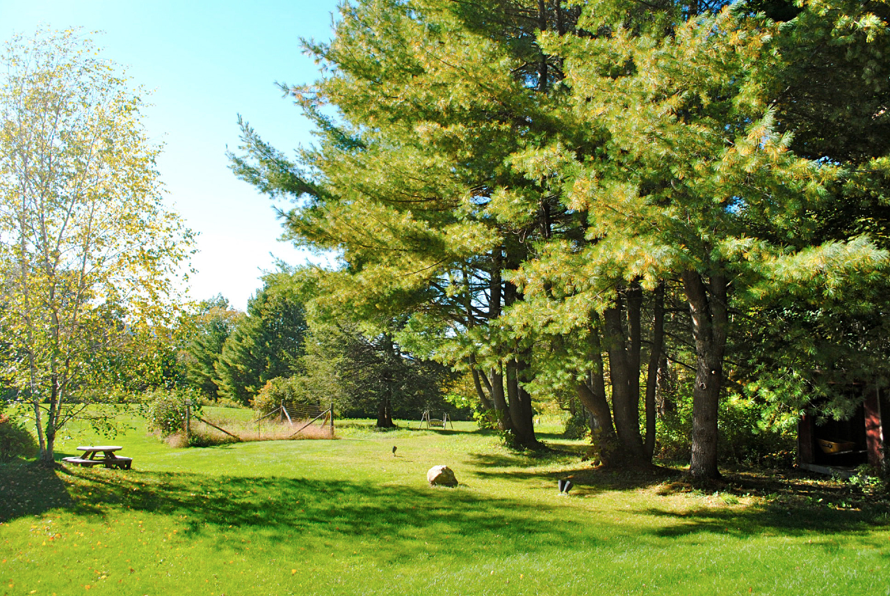 29 Corashire Road Monterey, MA 01245 - Photo 26 of 32 a view of a park with large trees