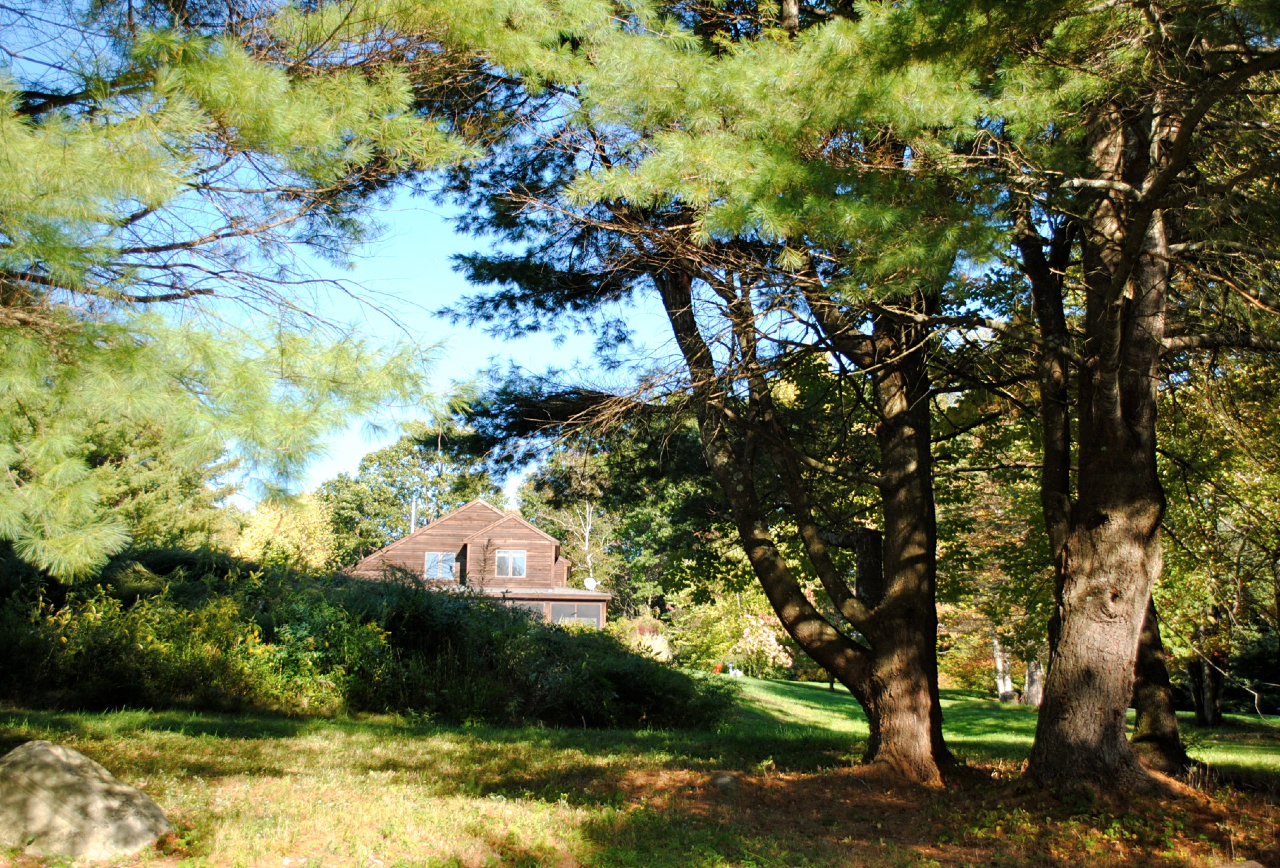 29 Corashire Road Monterey, MA 01245 - Photo 29 of 32 a view of a large yard with plants and large trees