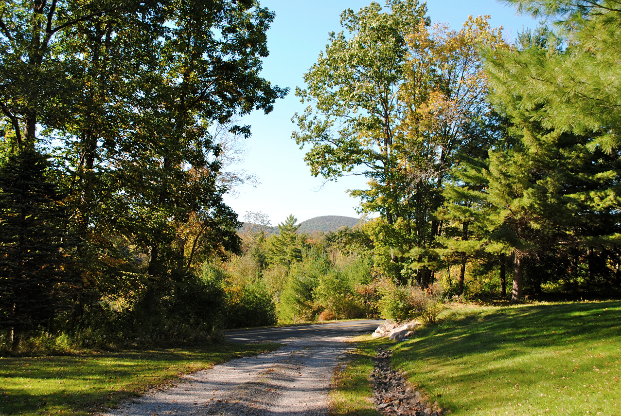 29 Corashire Road Monterey, MA 01245 - Photo 31 of 32 a view of a yard