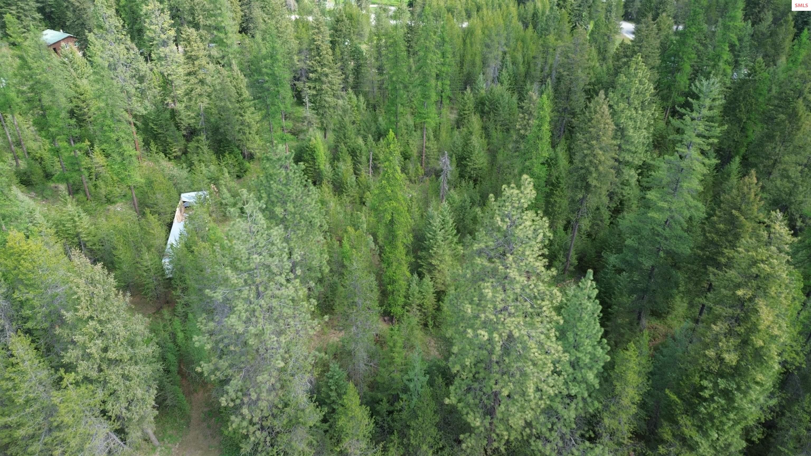 Womack Rd Womack Road Oldtown, ID 83822 - Photo 3 of 5