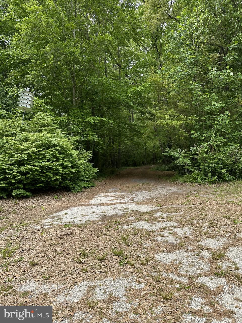 12723 Ridgely Road Greensboro, MD 21639 - Photo 43 of 43 Driveway back to entrance