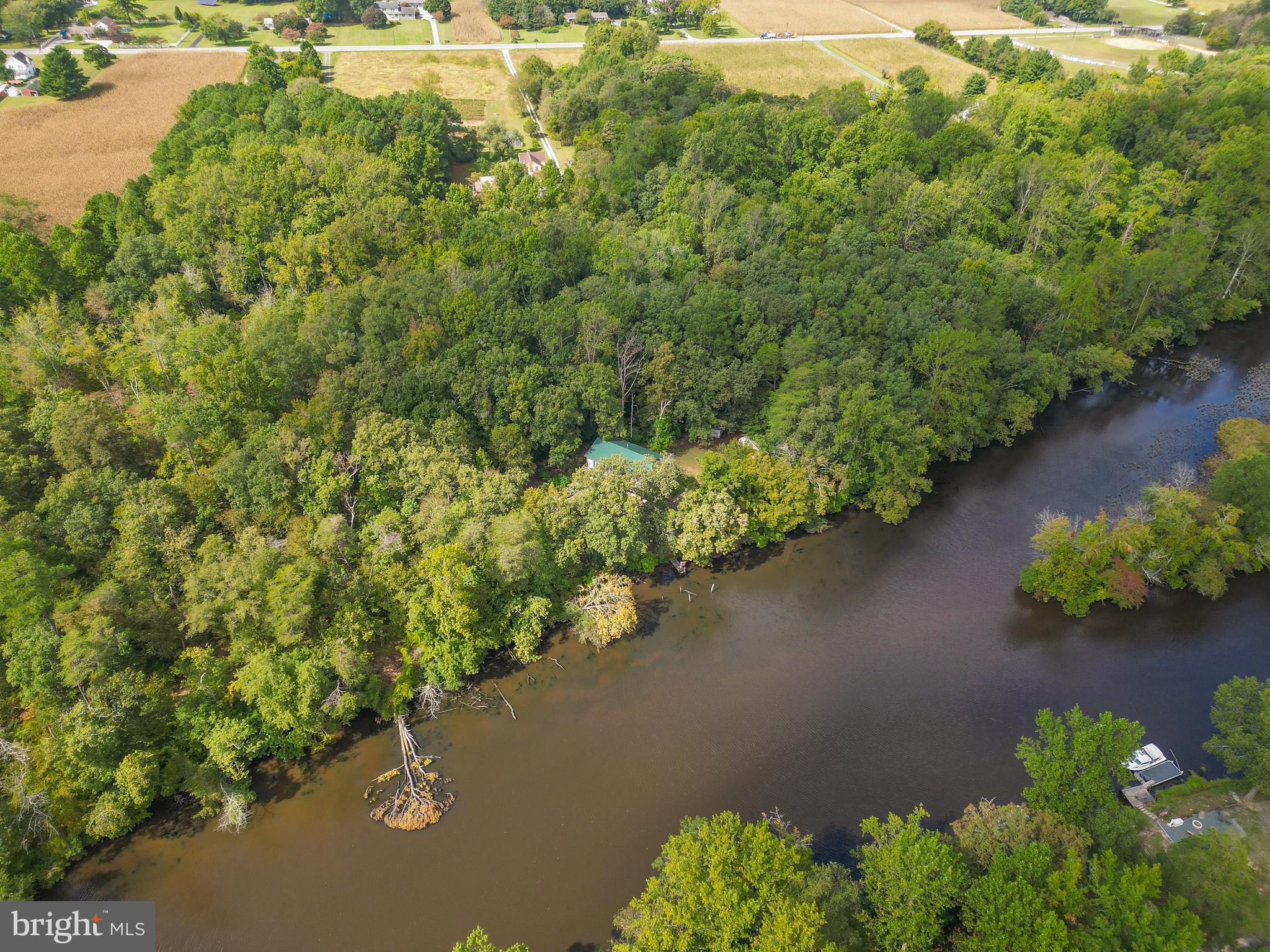 12723 Ridgely Road Greensboro, MD 21639 - Photo 5 of 43 Beautiful Choptank River