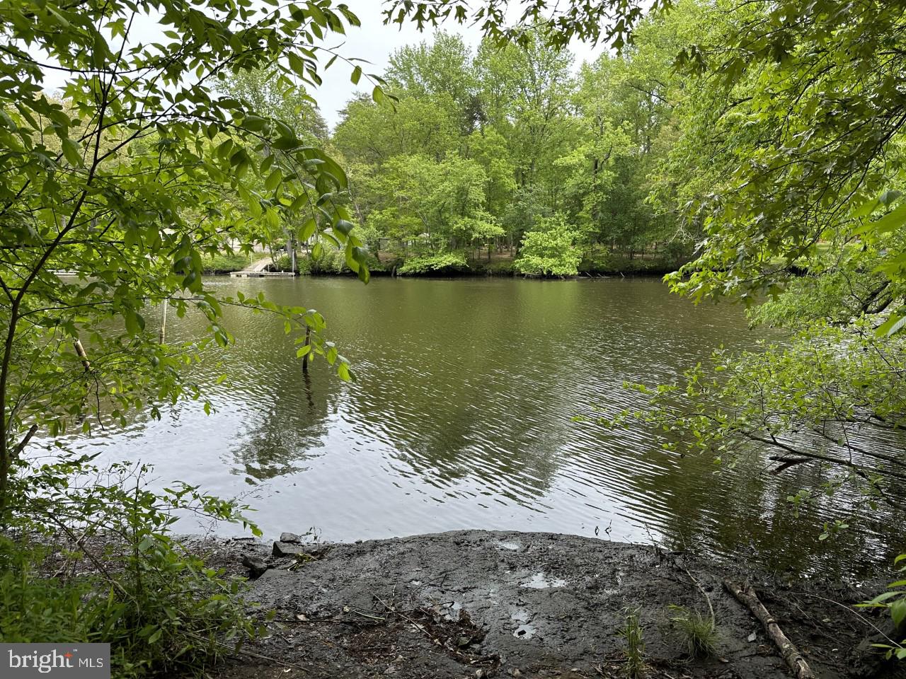 12723 Ridgely Road Greensboro, MD 21639 - Photo 8 of 43 Boat ramp