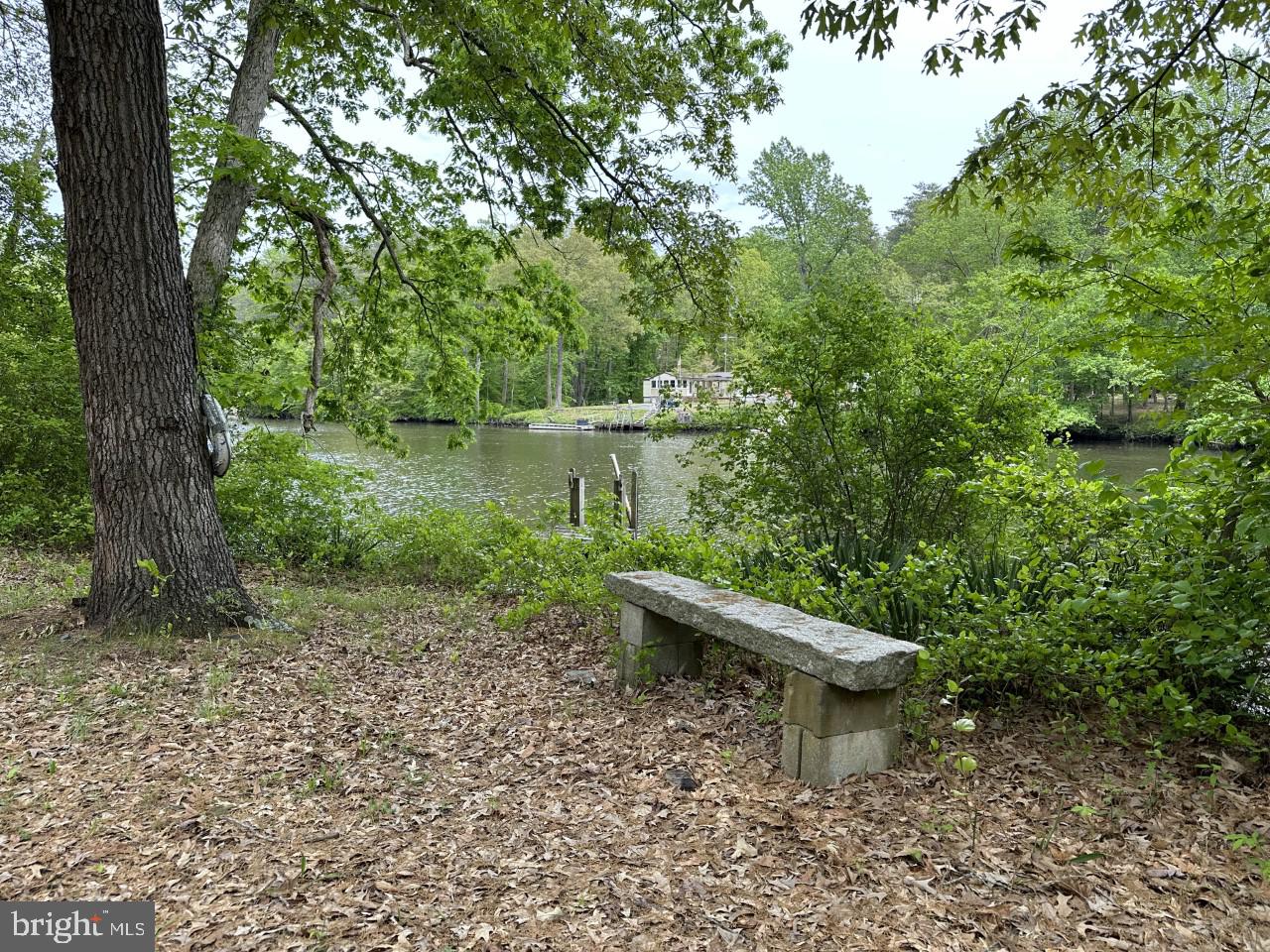 12723 Ridgely Road Greensboro, MD 21639 - Photo 9 of 43 Serene view of river from bank