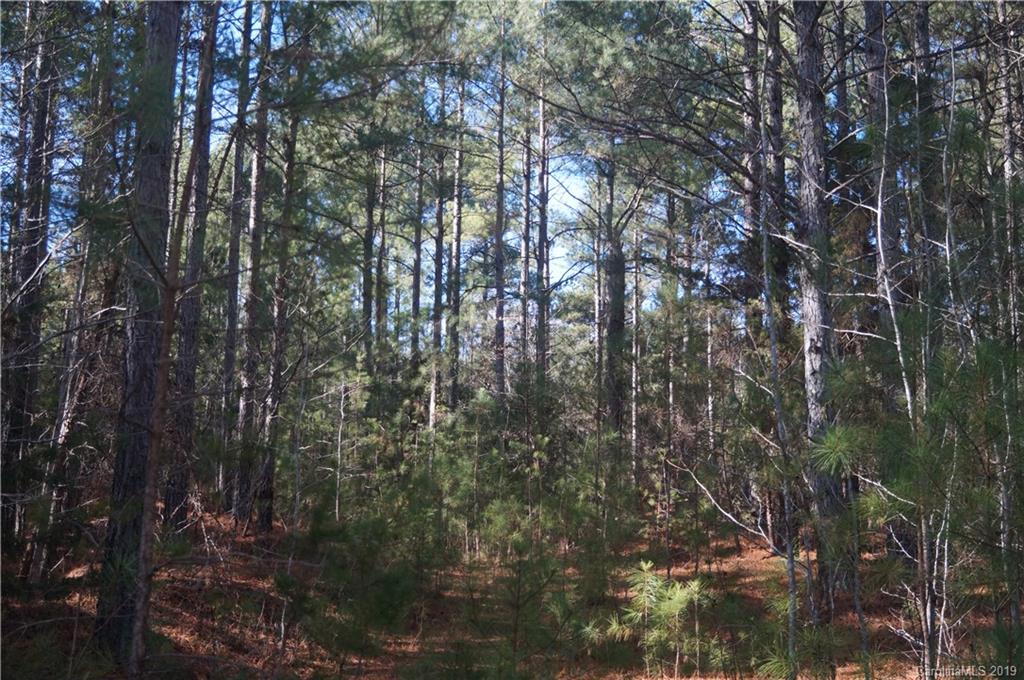 727 Mt Tabor Rd Union Union, SC 29379 - Photo 11 of 22