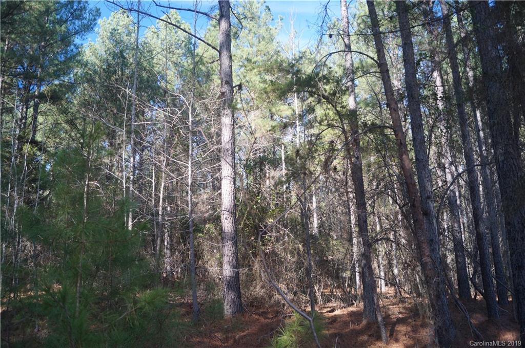 727 Mt Tabor Rd Union Union, SC 29379 - Photo 12 of 22