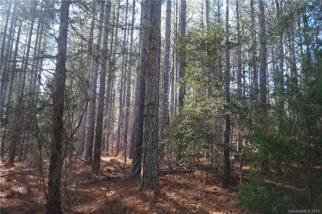 727 Mt Tabor Rd Union Union, SC 29379 - Photo 13 of 22