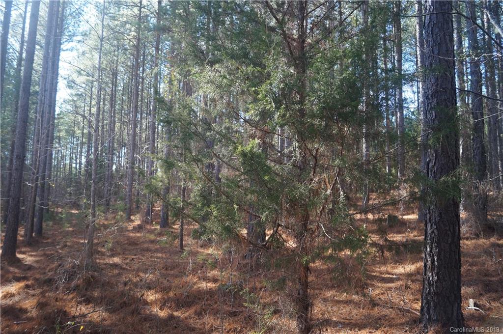 727 Mt Tabor Rd Union Union, SC 29379 - Photo 14 of 22