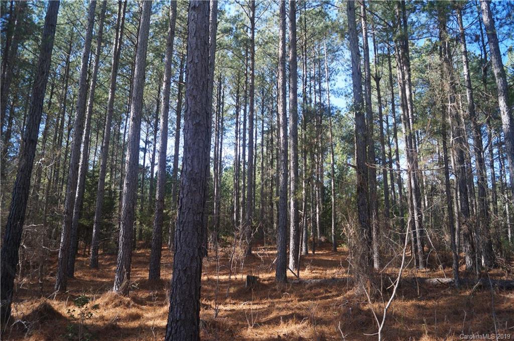 727 Mt Tabor Rd Union Union, SC 29379 - Photo 16 of 22