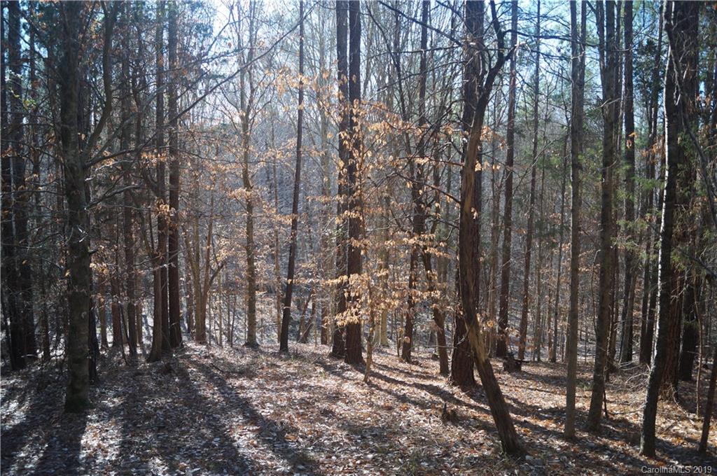 727 Mt Tabor Rd Union Union, SC 29379 - Photo 17 of 22