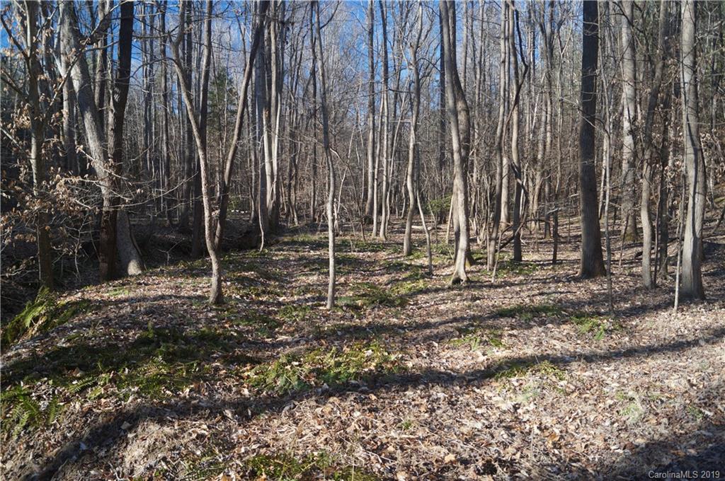 727 Mt Tabor Rd Union Union, SC 29379 - Photo 20 of 22