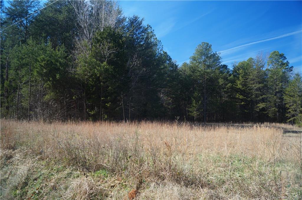 727 Mt Tabor Rd Union Union, SC 29379 - Photo 3 of 22