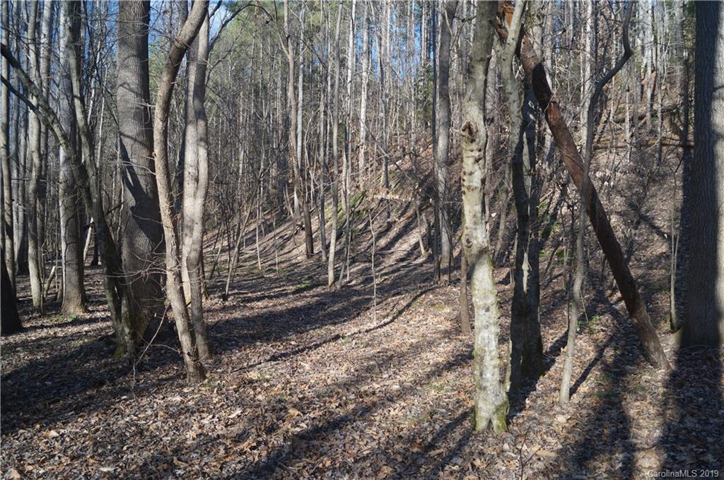 727 Mt Tabor Rd Union Union, SC 29379 - Photo 21 of 22