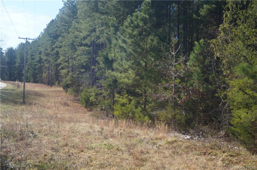 727 Mt Tabor Rd Union Union, SC 29379 - Photo 6 of 22