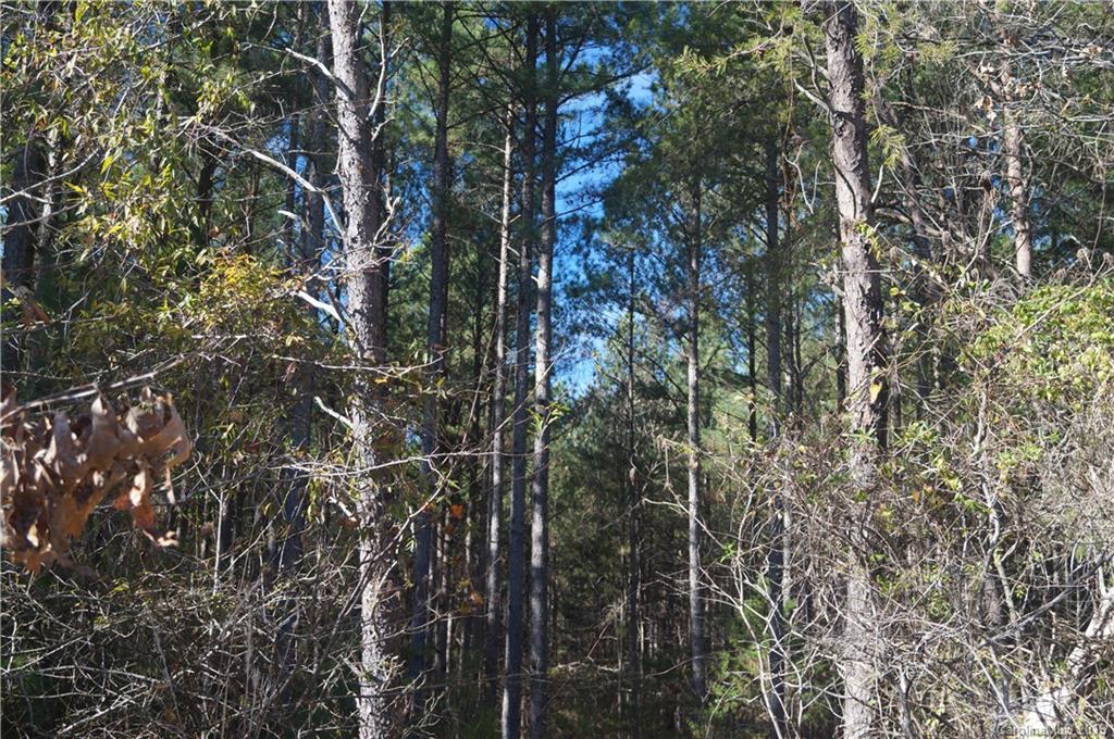 727 Mt Tabor Rd Union Union, SC 29379 - Photo 8 of 22