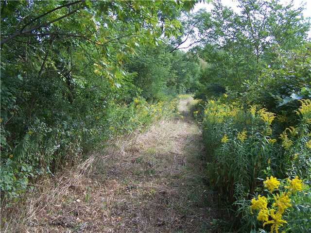 0 Stone Road Branchport, NY 14418 - Photo 1 of 1 Land