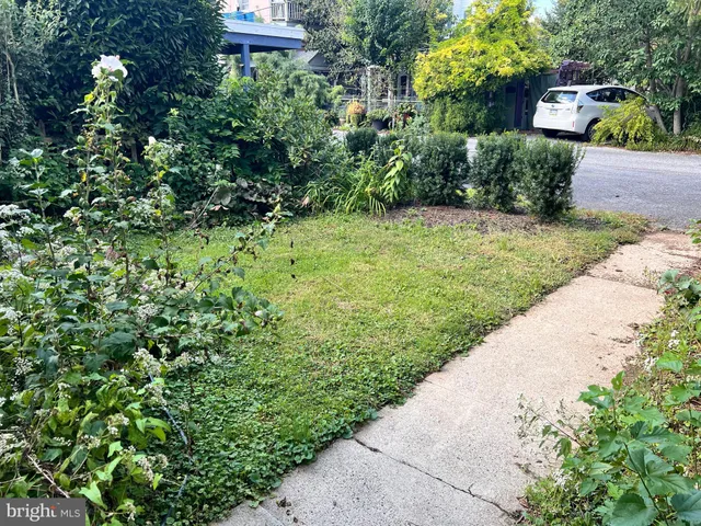 a view of a garden with plants and large trees