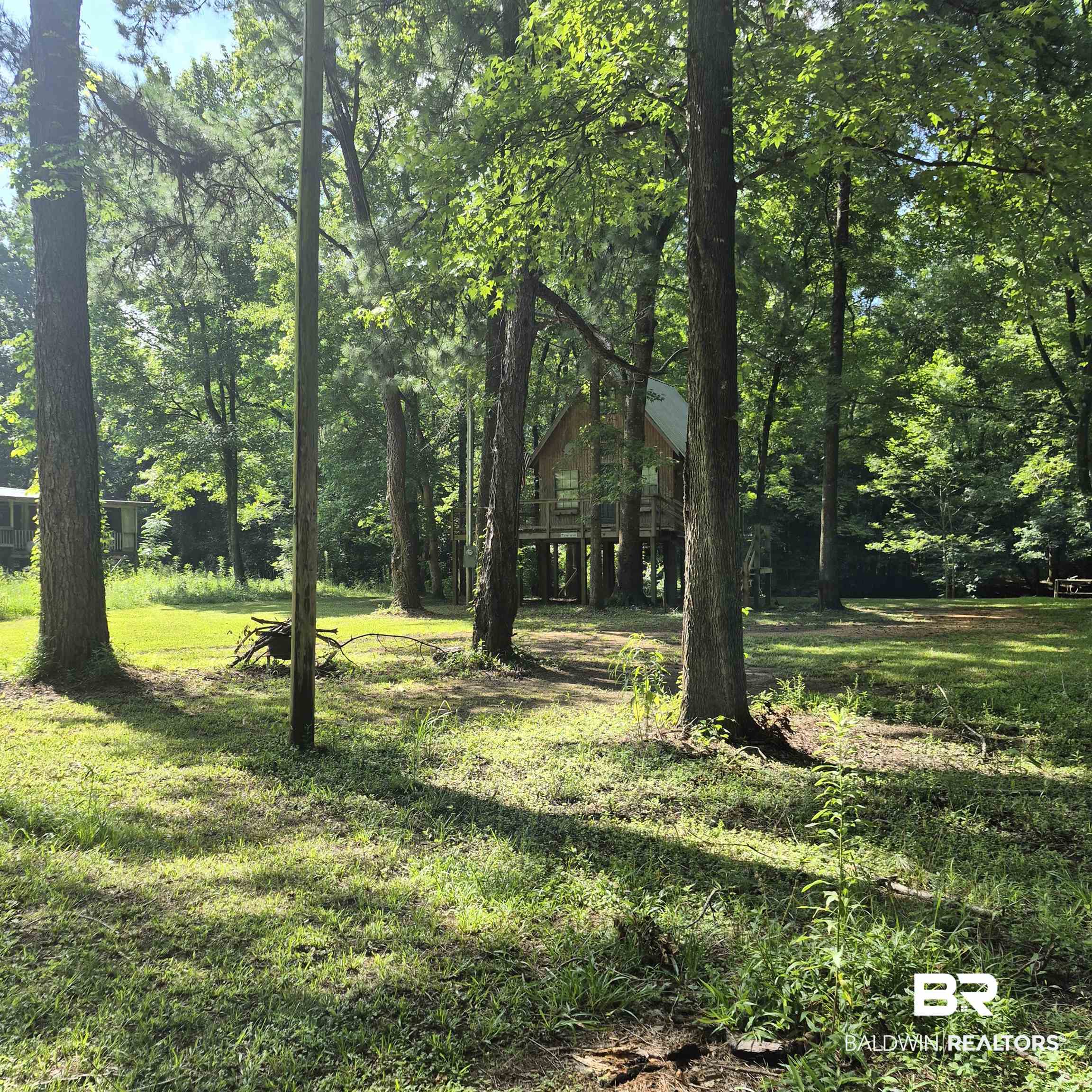 0 Eureka Landing Road Uriah, AL 36480 - Photo 19 of 27 Elevated wood-sided structure with a green metal roof surrounded by mature trees