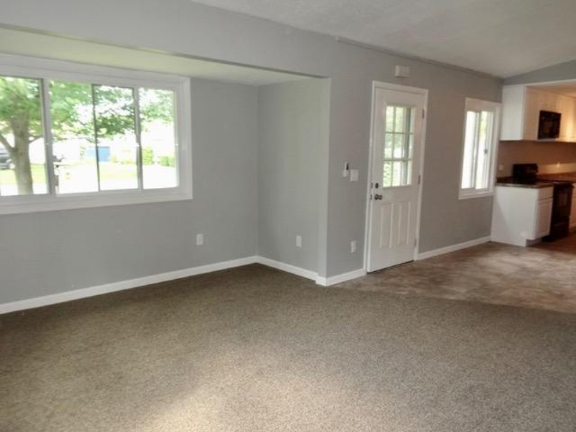 1332 Fulkerson Road Niles, MI 49120 - Photo 5 of 30 DSC04731